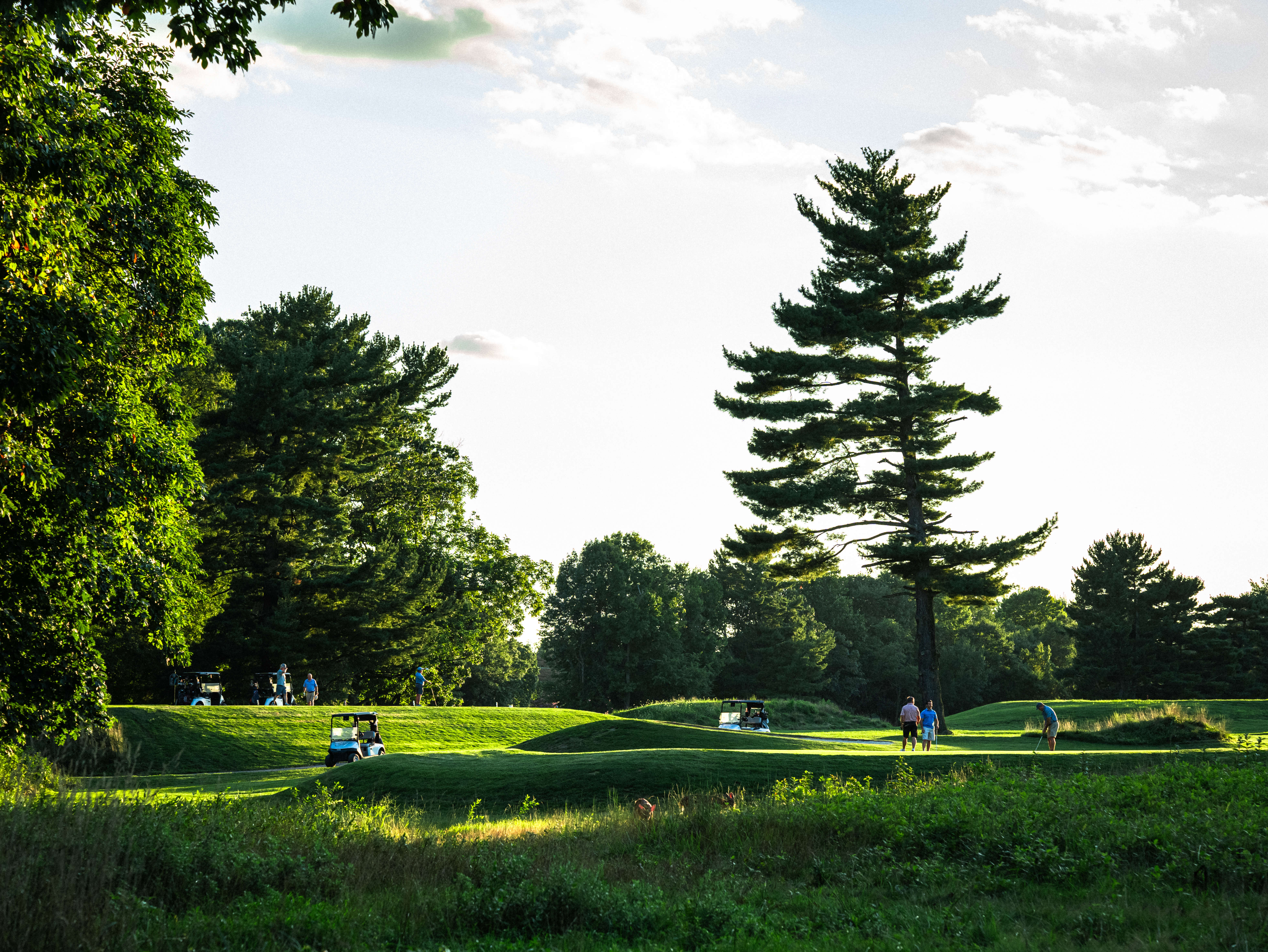 Two golfers silhouetted on the course